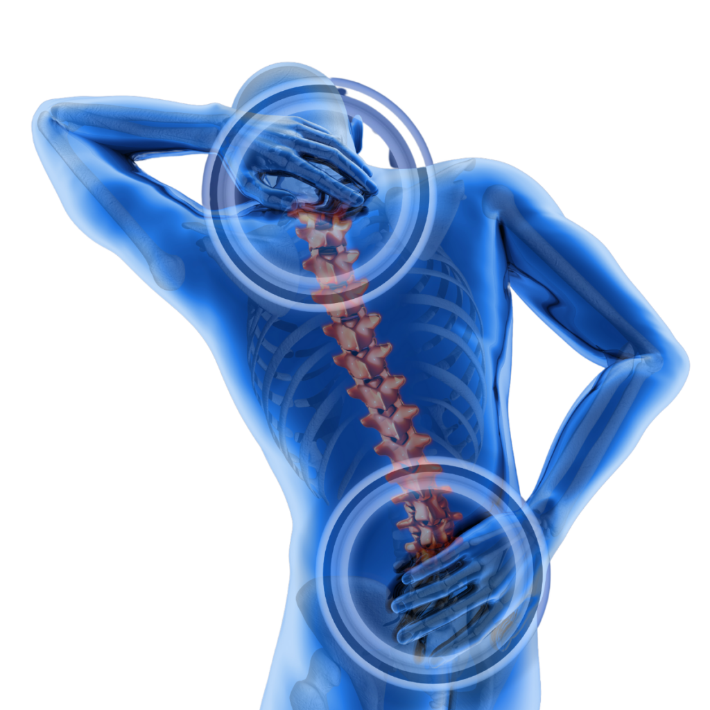 kurs-rueckenschule-sidimed-dresden